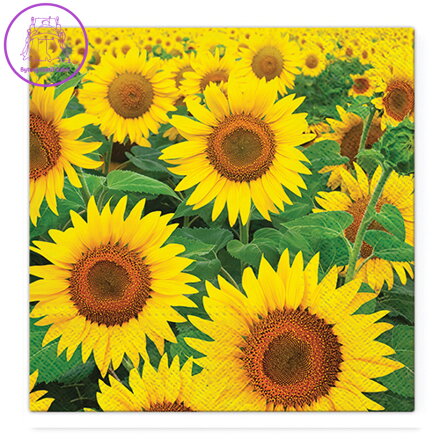 Obrúsky TaT 33x33cm Sunflowers Field