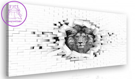 Černobílý obraz Lev