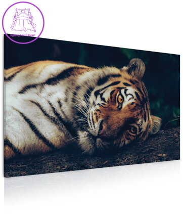 Obraz Tygr v džungli