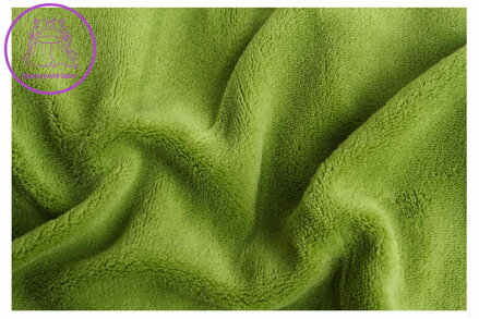 Svitap Prostěradlo mikroflanel kiwi (zelená) 180x200x20 cm