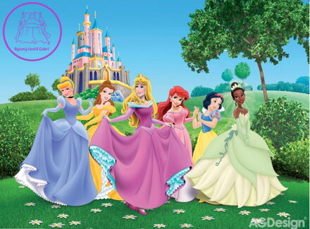 Dětská fototapeta vliesová premium collection - FTDNXXL 5033 Disney Princezny 360x270cm - 2022