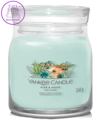 YANKEE CANDLE SIGNATURE STŘEDNÍ - ALOE & AGAVE 368g