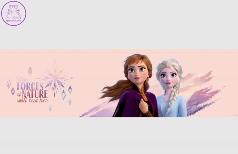 Samolepící bordura do dětského pokoje Disney Frozen - WBD 8158