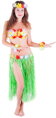 KARNEVAL Sukně Hawaii Hula dospělá 72cm *KOSTÝM*