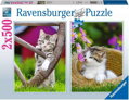 RAVENSBURGER Puzzle Koťata na venkově 2x500 dílků