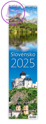 Nástěnný kalendář 2025 Slovensko - kravata