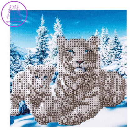 Diamantová mozaika 5D Tiger (20x20 cm)