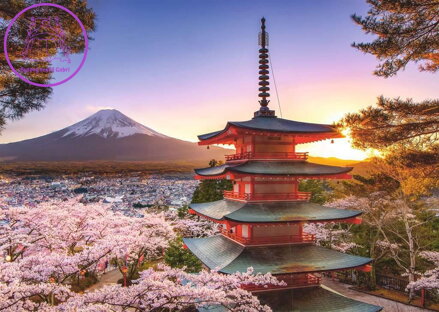 RAVENSBURGER Puzzle Rozkvetlé třešně v Japonsku 1000 dílků