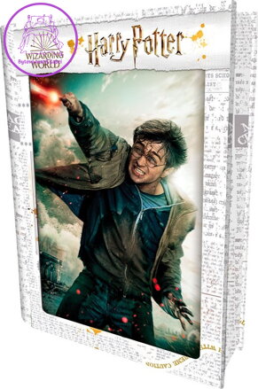 PRIME 3D Puzzle Harry Potter: Harry  3D 300 dílků