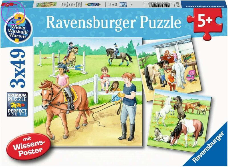 RAVENSBURGER Puzzle Den u koní 3x49 dílků